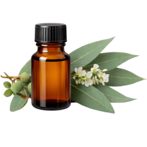 Eucalyptus Essential Oil