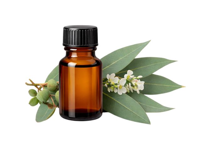 Eucalyptus Essential Oil