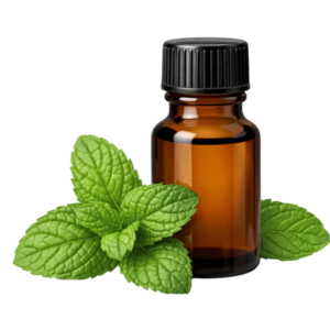 Peppermint Essential Oil