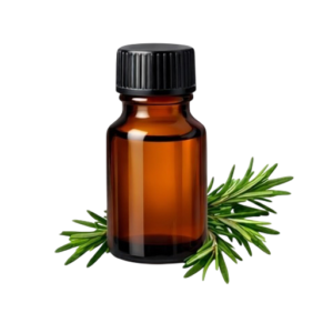 Rosemary Essential Oil