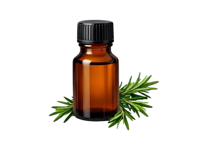 Rosemary Essential Oil
