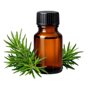 Tea Tree Essential Oil